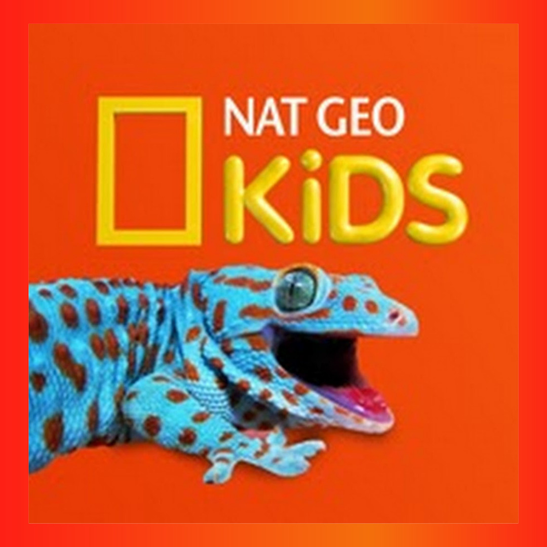 MUNDO KIDS - VIRTUAL LIBRARY (5)