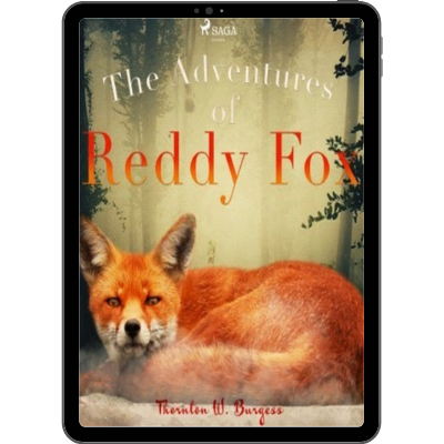 Children Literature 6x1