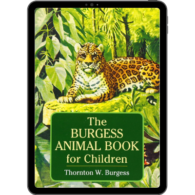 Children Literature 7x1